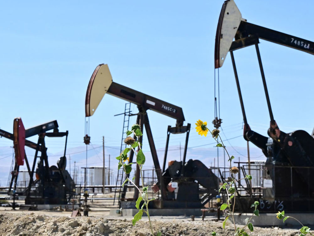Solar Power Containers for 悪用する