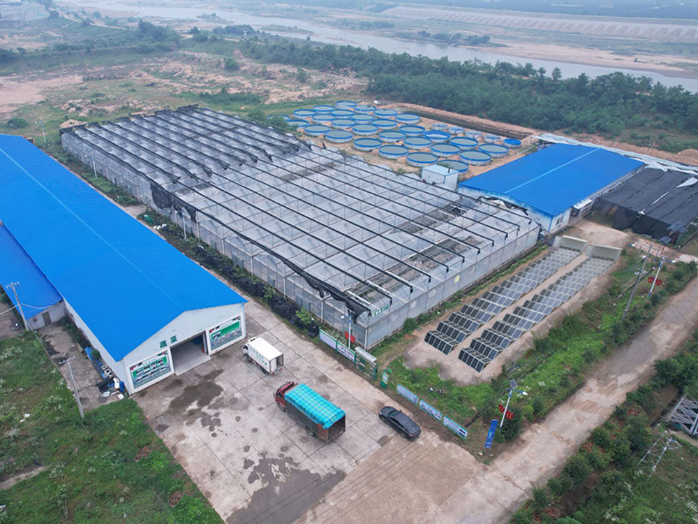 Solar Power Containers for 自己供給電源